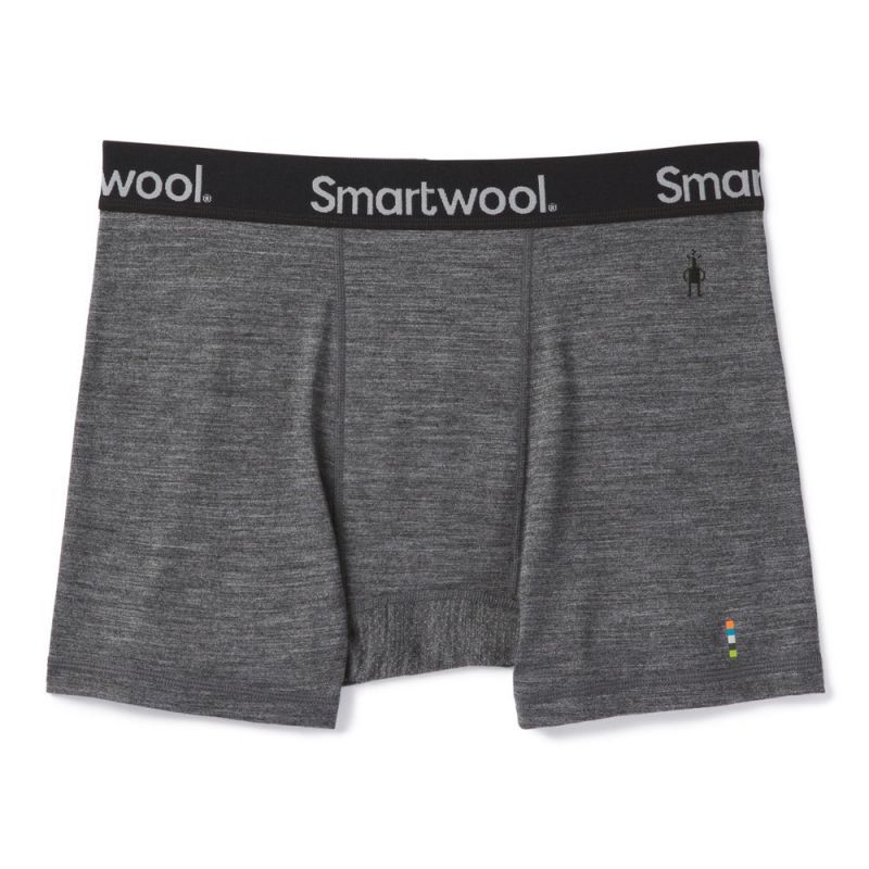 Smartwool Merino Sport 150 Boxer Brief Boxed - Underwear - Men's