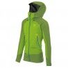 Lime Green Spindle Tree