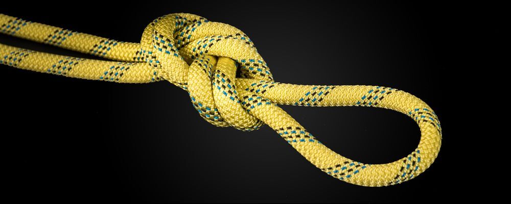 Cousin Trestec Pro Forces 8.6 - Half rope