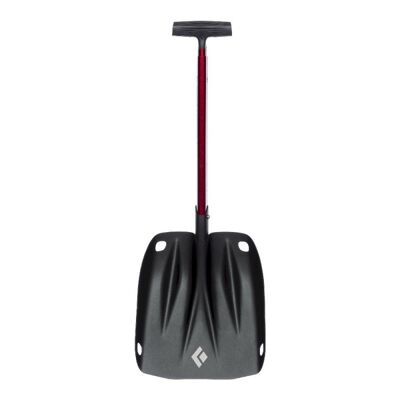 Transfer Shovel - Pelle avalanche