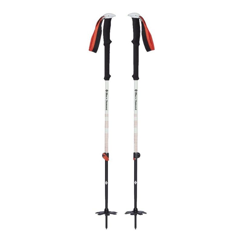 Black Diamond Expedition 2 Ski Poles - Bastões ski | Hardloop