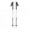 Black Diamond Expedition 2 Ski Poles - Skistöcke
