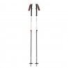 Black Diamond Expedition 2 Ski Poles - Bastões ski | Hardloop