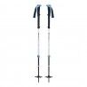 Black Diamond Expedition 2 Pro Ski Poles - Bastones de esquí