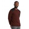 Icebreaker Barein Crewe Sweater - Pullover in lana merino - Uomo I Hardloop