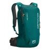 Pacific Green