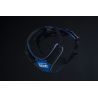 Julius-K9 IDC Longwalk - Harnais pour chien | Hardloop