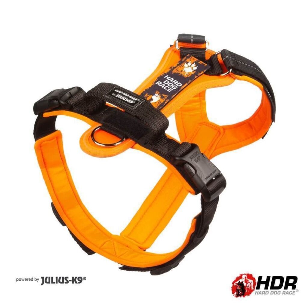 Julius-K9 Hard Dog Race - Imbracatura per cani