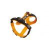 Julius-K9 Hard Dog Race - Imbracatura per cani