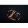 Julius-K9  Hard Dog Race - Dog harness