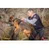 Julius-K9 Hard Dog Race - Imbracatura per cani