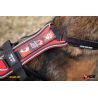 Julius-K9 Hard Dog Race - Imbracatura per cani