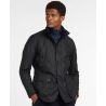 Navy / Midnight