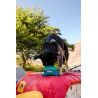 Ruffwear Quencher Cinch Top - Bar pro psa | Hardloop