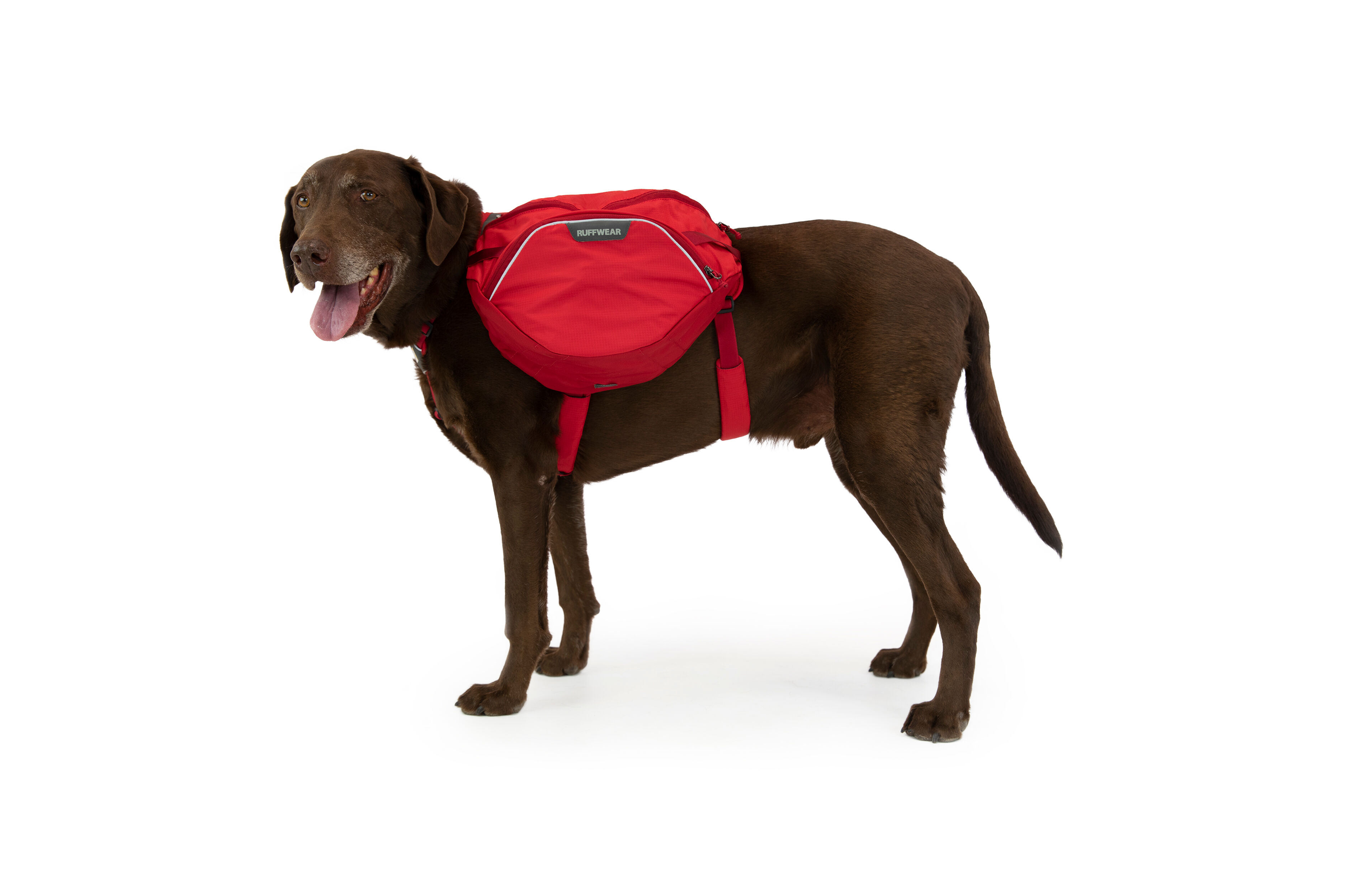 Ruffwear Palisades Pack - Dog backpack