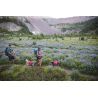 Ruffwear Palisades Pack - Dog backpack