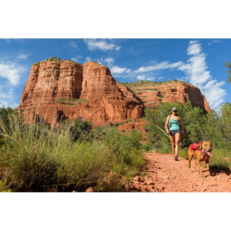 Ruffwear Singletrak Pack - Hundryggsäck