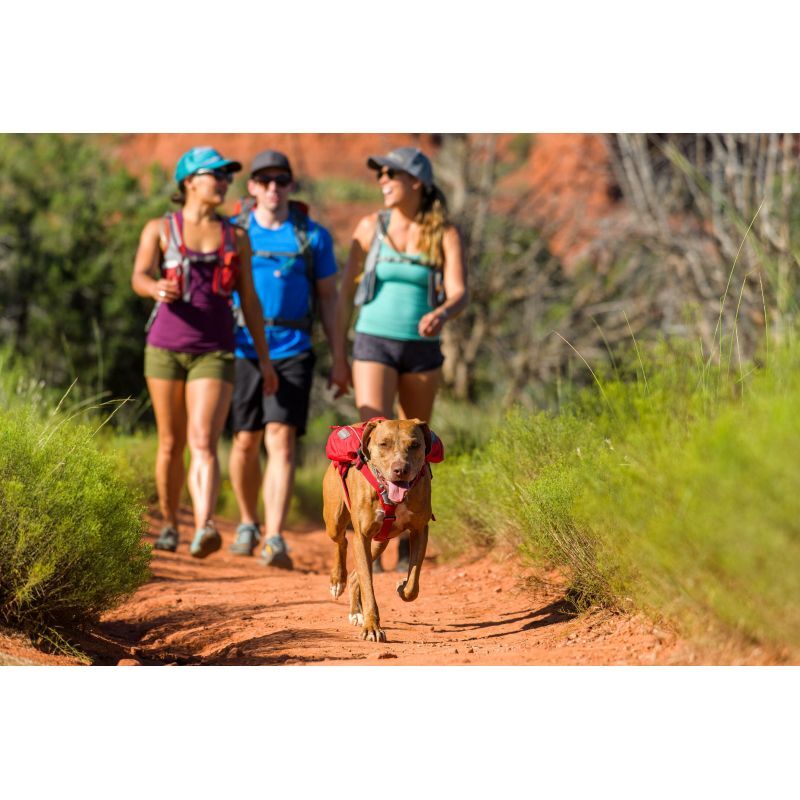 Ruffwear Singletrak Pack - Hundryggsäck