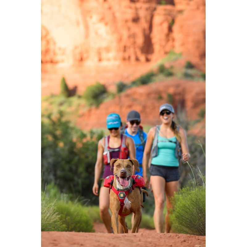 Ruffwear Singletrak Pack - Hundryggsäck