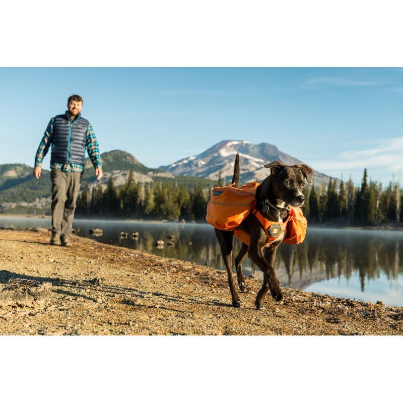 Ruffwear Approach Pack - Dog backpack