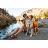 Ruffwear Approach Pack - Alforge para cão | Hardloop