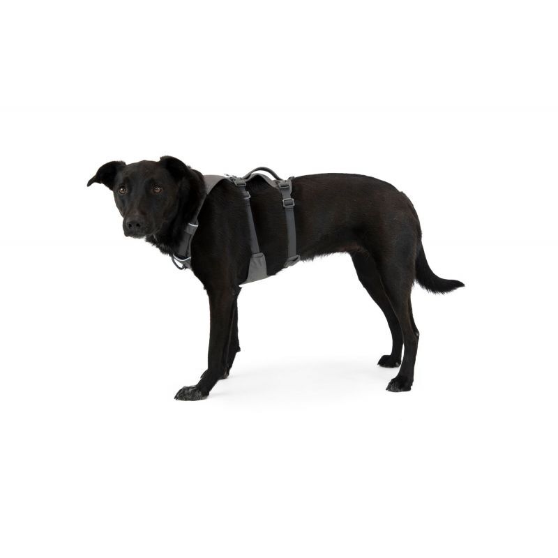 Ruffwear Flagline - Harnais pour chien | Hardloop