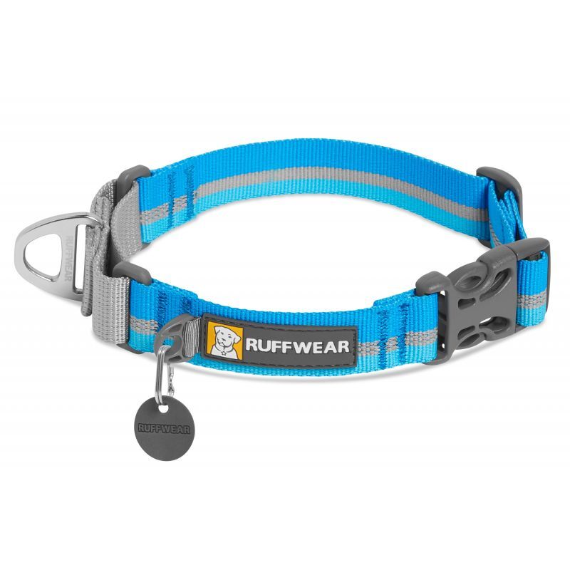 Web Reaction - Dog collar
