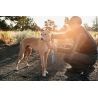 Ruffwear Web Reaction - Collier pour chien | Hardloop