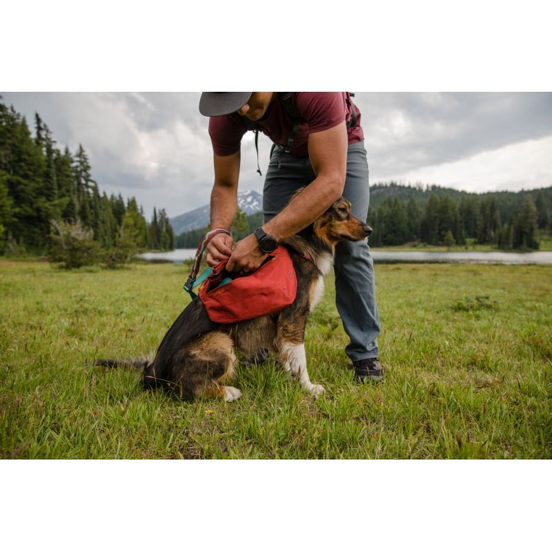 Ruffwear Front Range Day Pack - Koiran reppu