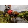 Ruffwear Front Range Day Pack - Plecak trekkingowy dla psa | Hardloop
