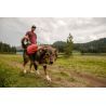 Ruffwear Front Range Day Pack - Alforge para cão | Hardloop