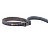 Ruffwear Roamer - Guia para cachorro | Hardloop