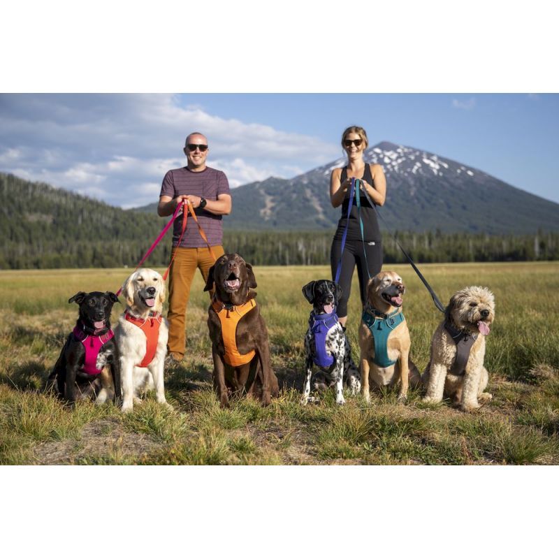 Ruffwear hundegeschirr outlet front range harness