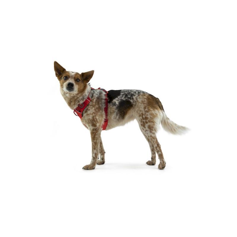 Ruffwear Front Range Pettorina per cani