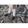 Non-stop dogwear Protector Booties - Buty dla psa | Hardloop