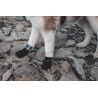 Non-stop dogwear Protector Booties - Koiran tossut | Hardloop