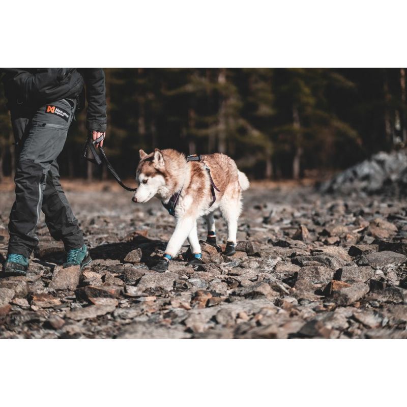 Non-stop dogwear Long Distance Booties, scarpe per cani