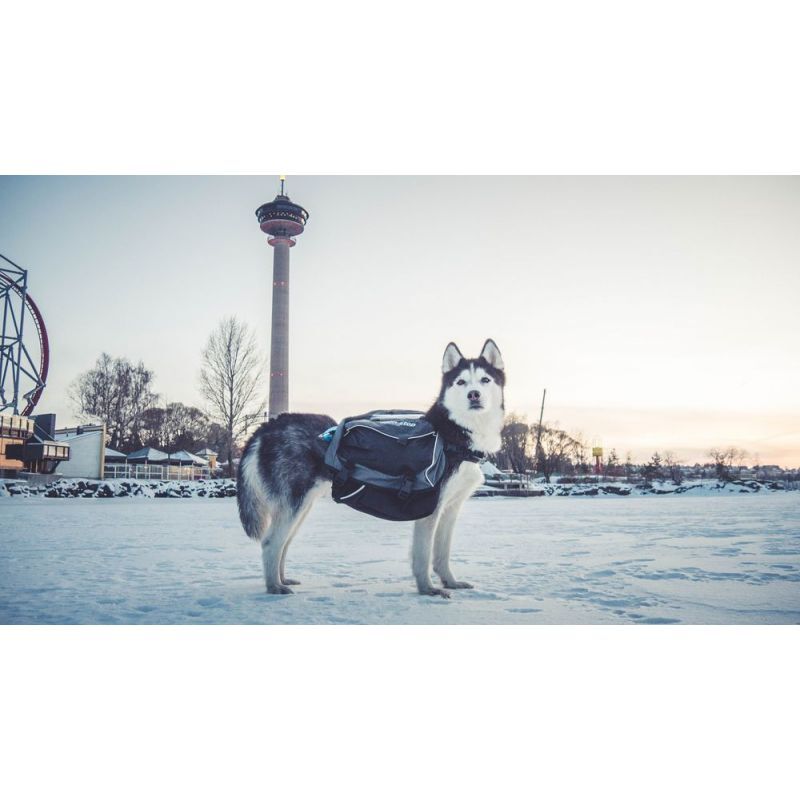 Non-stop dogwear Amundsen Pack - Hunde Rucksack
