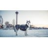 Non-stop dogwear Amundsen Pack - Zaino per cani