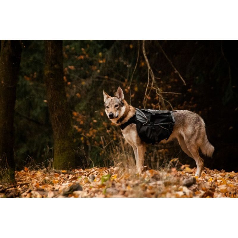 Non-stop dogwear Amundsen Pack - Hunde Rucksack