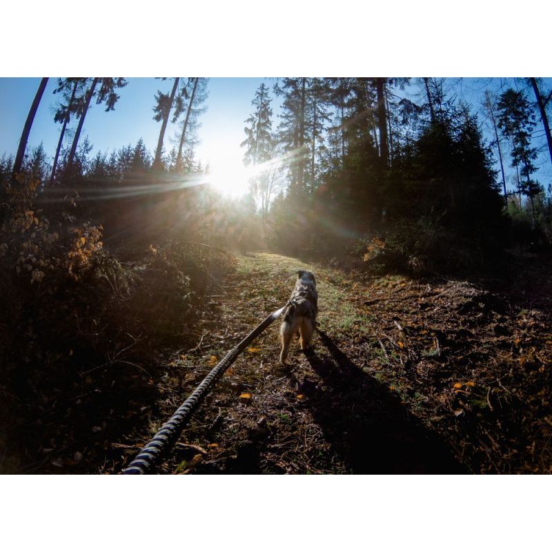 Non-stop dogwear Bungee Touring Leash - Hundeleine