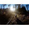 Non-stop dogwear Bungee Touring Leash - Guia de canicross | Hardloop