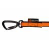 Non-stop dogwear Bungee Leash - Guia de canicross | Hardloop