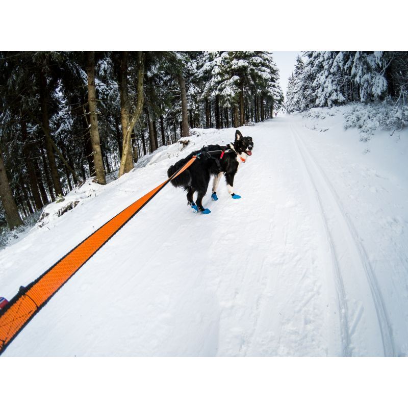 Non-stop dogwear Bungee Leash - Vodítko pro psa | Hardloop