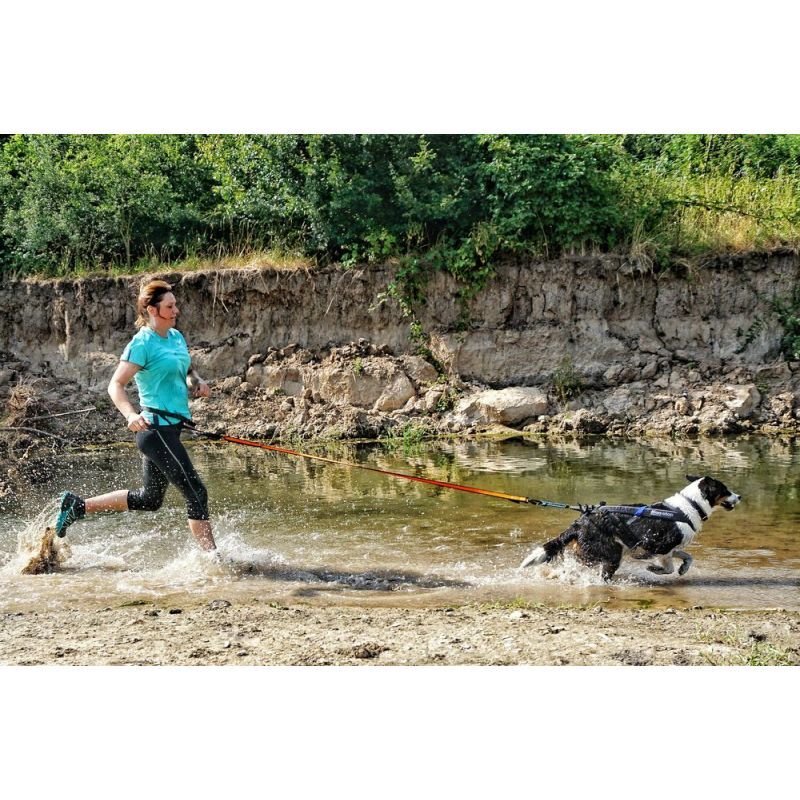 Non-stop dogwear Bungee Leash - Guinzagli per cani