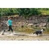 Non-stop dogwear Bungee Leash - Guia de canicross | Hardloop