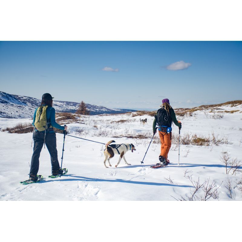 Non-stop dogwear Ferd Belt - Cinturón trekking perro