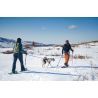 Non-stop dogwear Ferd Belt - Cinto de canirando | Hardloop