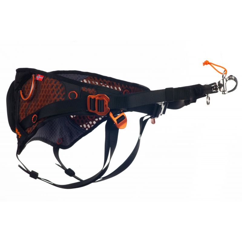 Non-stop dogwear Loype Belt - Cinto de canirando | Hardloop