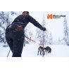 Non-stop dogwear Loype Belt - Cinto de canirando | Hardloop